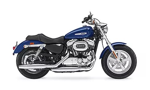 1200 Custom [2018-2019]