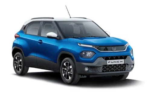 Punch Camo Adventure Rhythm AMT