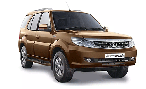 Safari Storme 2019